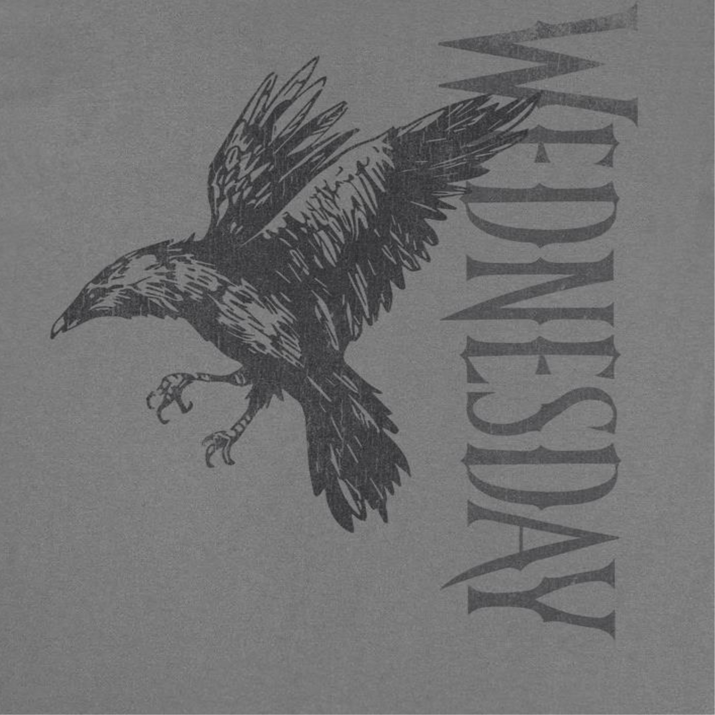 Wednesday Raven 2 Mens T Shirt Charcoal