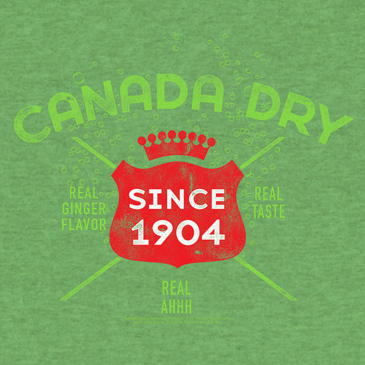 Vintage Faded Canada Dry Ginger Ale Mens T Shirt Heather Kelly Green