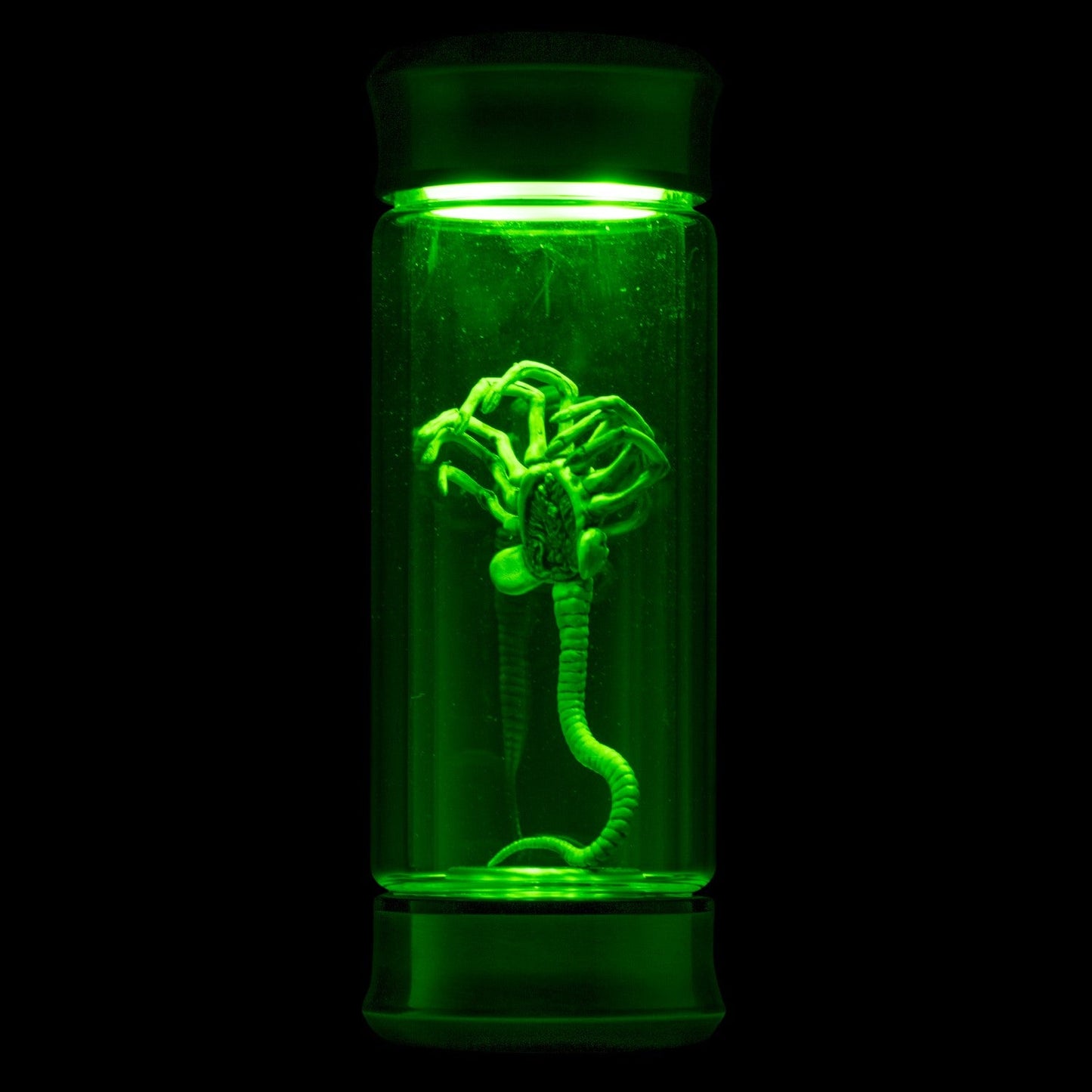 Alien Critter Embryo in Jar Glass Bottle with Display Box 8” Collectible Movie Prop Replica for Halloween Costume
