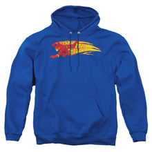 Load image into Gallery viewer, Dc Flash Fastest Man Alive Mens Hoodie Royal Blue
