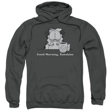 Load image into Gallery viewer, Garfield Good Morning Sunshine Mens Hoodie Charcoal