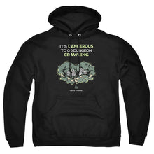 Load image into Gallery viewer, Dungeons And Dragons Dangerous To Go Alone Mens Hoodie Black