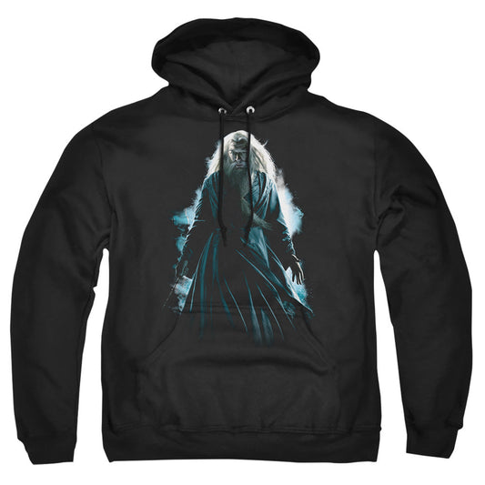 Harry Potter Dumbledore Burst Mens Hoodie Black
