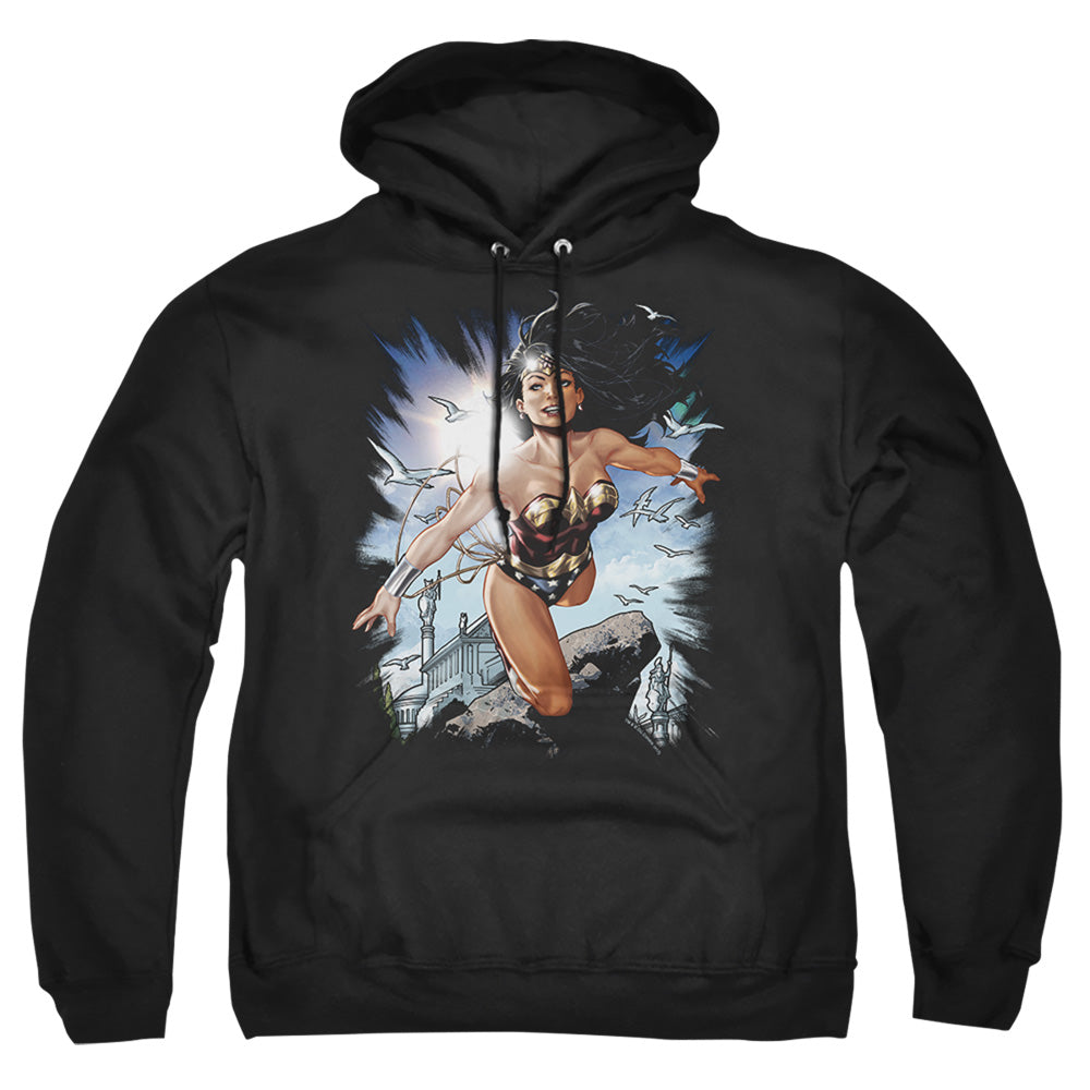 Justice League Of America Of Themyscira Mens Hoodie Black