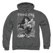 Load image into Gallery viewer, Justice League Of America Princess Of The Amazons Mens Hoodie Charcoal