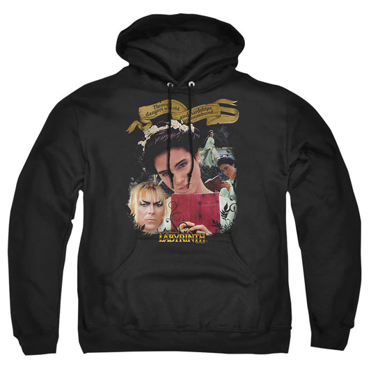 Labyrinth Dangers Untold Mens Hoodie Black