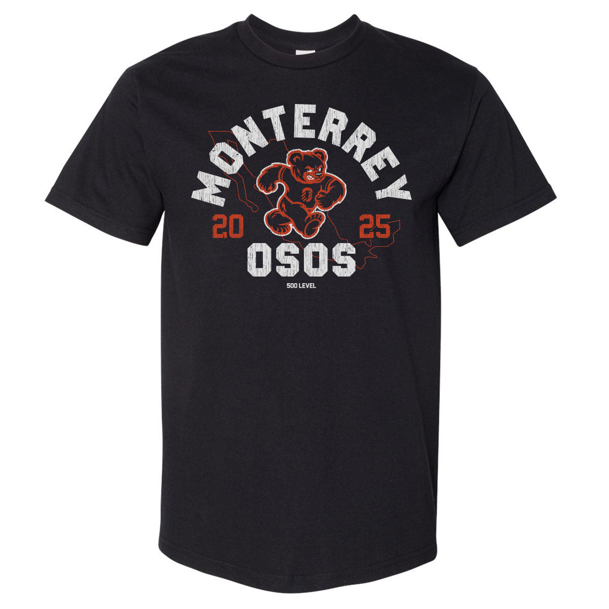 Monterrey Osos Founded 2025 WHT
