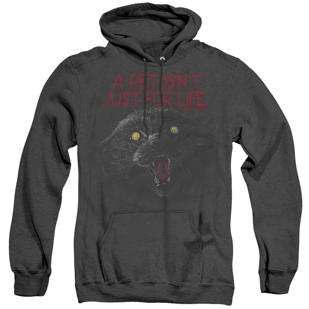Pet Sematary I Survived Heather Mens Hoodie Black