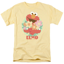 Load image into Gallery viewer, Sesame Street Flowers For You Mens T Shirt Banana