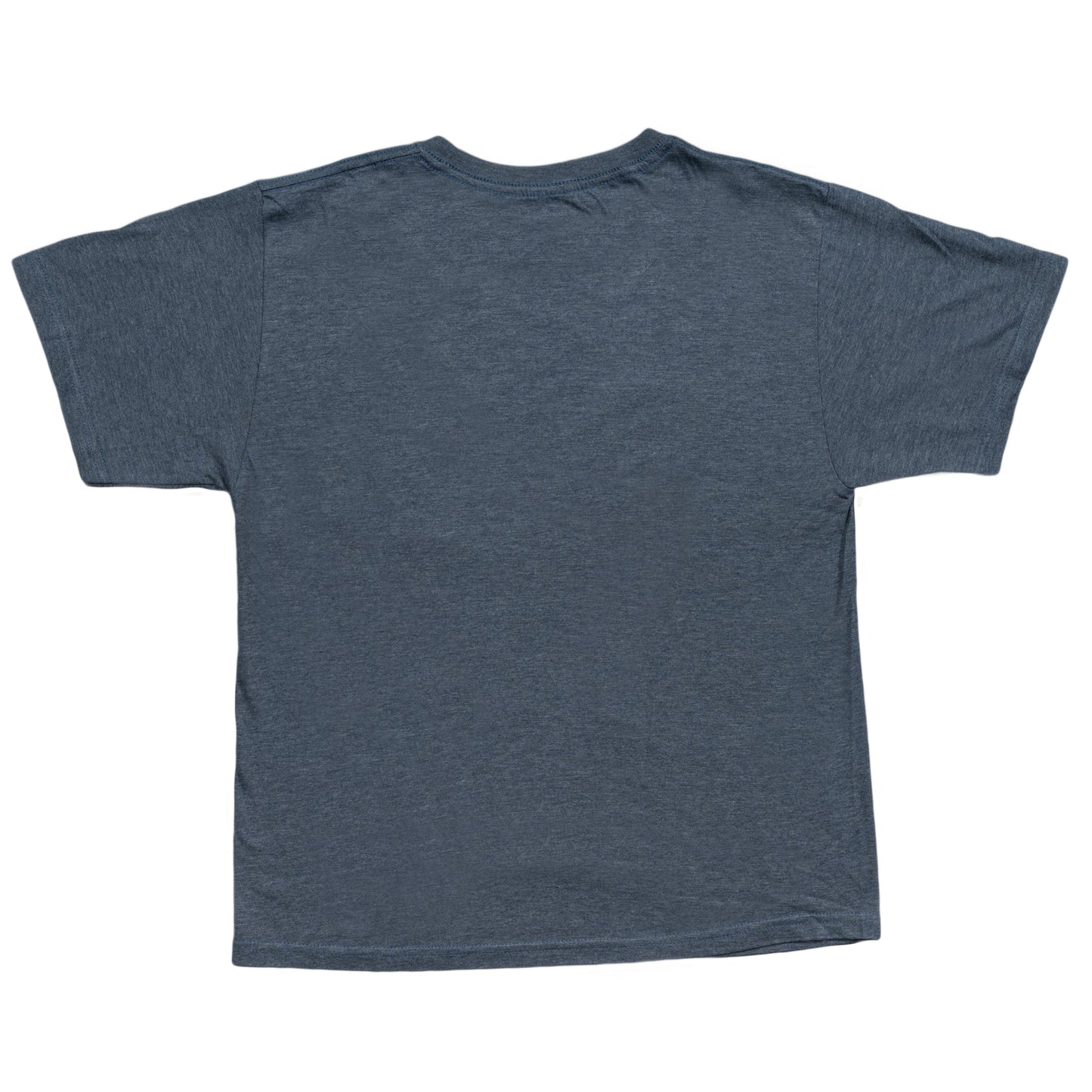 Temple Run Game T Shirt Tee