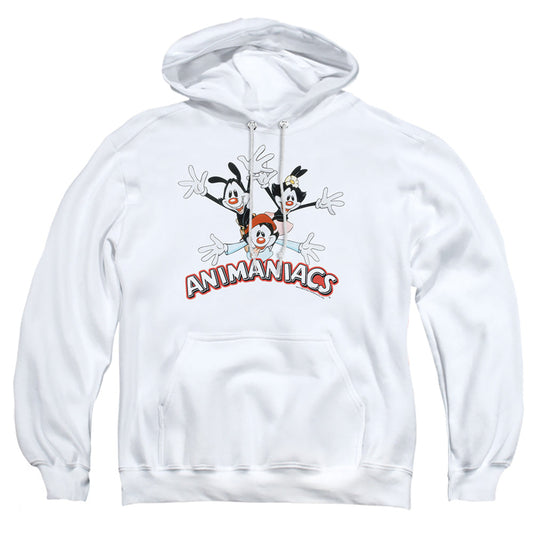 Animaniacs Animaniacs Trio Mens Hoodie White