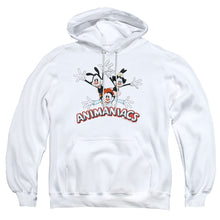 Load image into Gallery viewer, Animaniacs Animaniacs Trio Mens Hoodie White