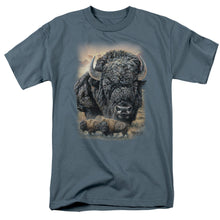 Load image into Gallery viewer, Wild Wings Sunset Buffalo Mens T Shirt Slate