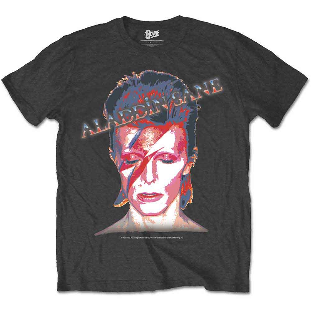 David Bowie Aladdin Sane Mens T Shirt