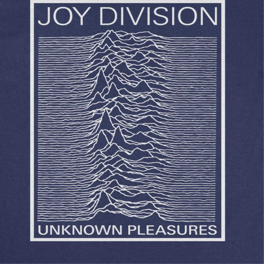 Joy Division Unknown Pleasures Frame Mens T Shirt