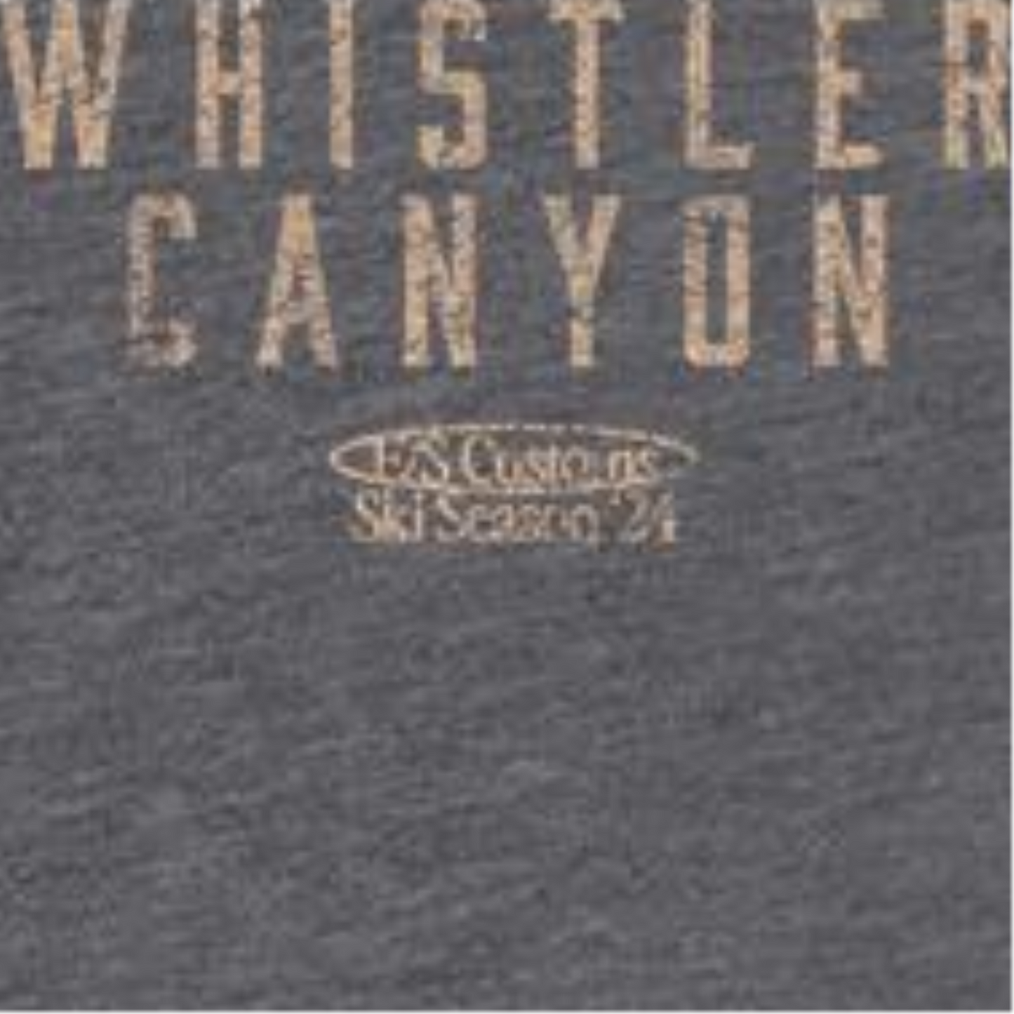 Skiing Whistler Dark Heather Front & Back Print Mens T Shirt
