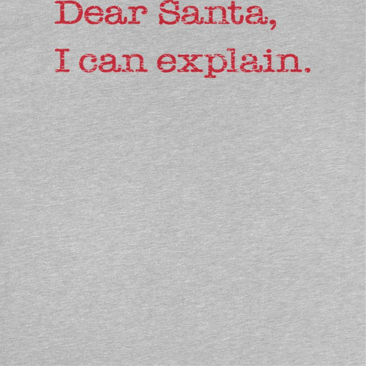 Christmas Mens T Shirt - Dear Santa I Can Explain