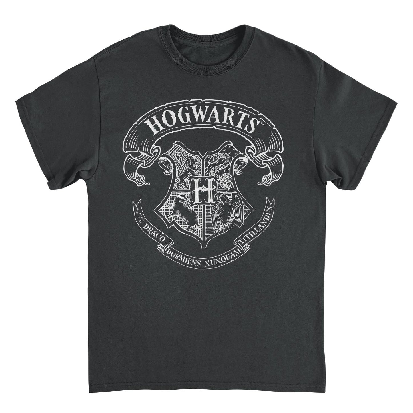 Harry Potter Draco Dormiens Nunquam Titillandus Black Mens T Shirt