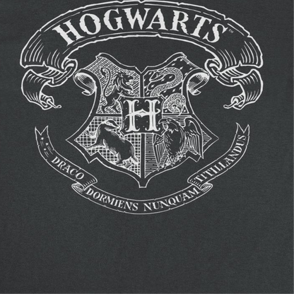 Harry Potter Draco Dormiens Nunquam Titillandus Mens T Shirt Black