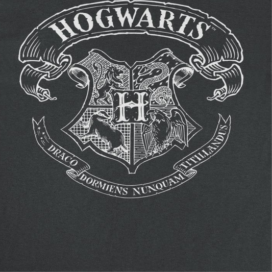 Harry Potter Draco Dormiens Nunquam Titillandus Mens T Shirt Black