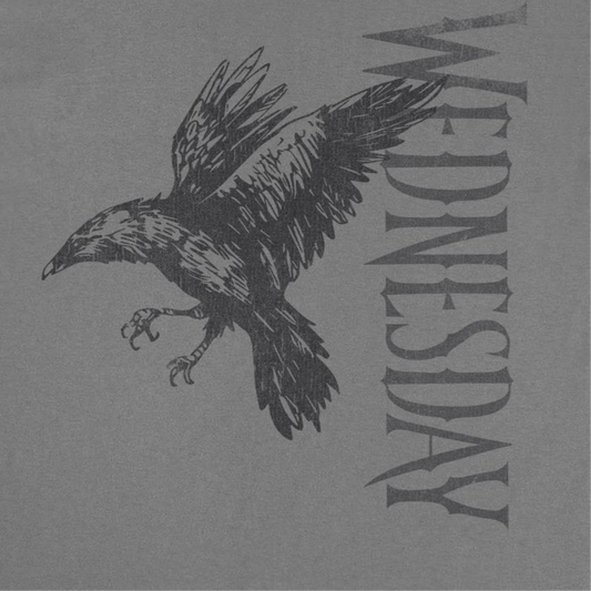 Wednesday Raven 2 Mens T Shirt Charcoal