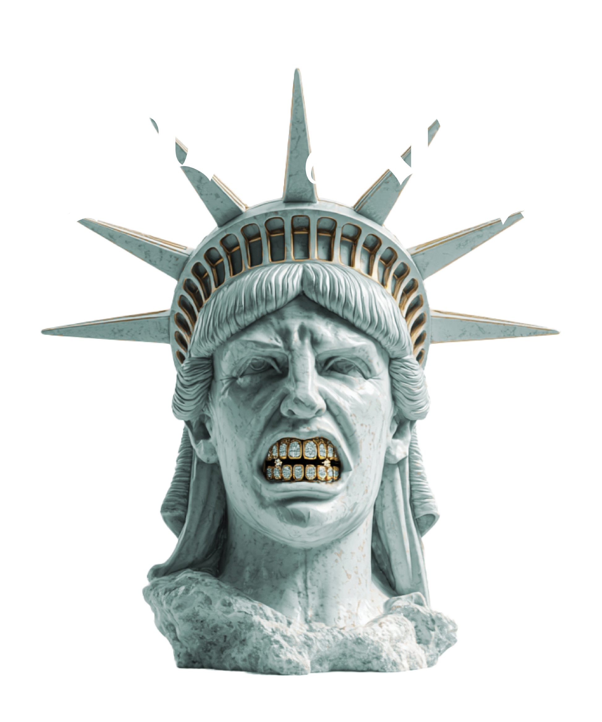 Zoo York ZoStatue of Liberty Gold Grill Smile Mens T Shirt Black