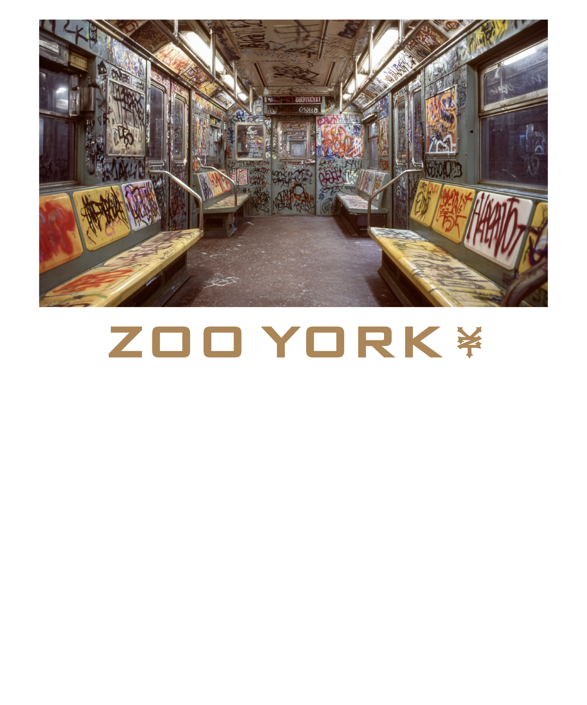 Zoo York Nueva York Vintage Subway Panel Mens T Shirt Black