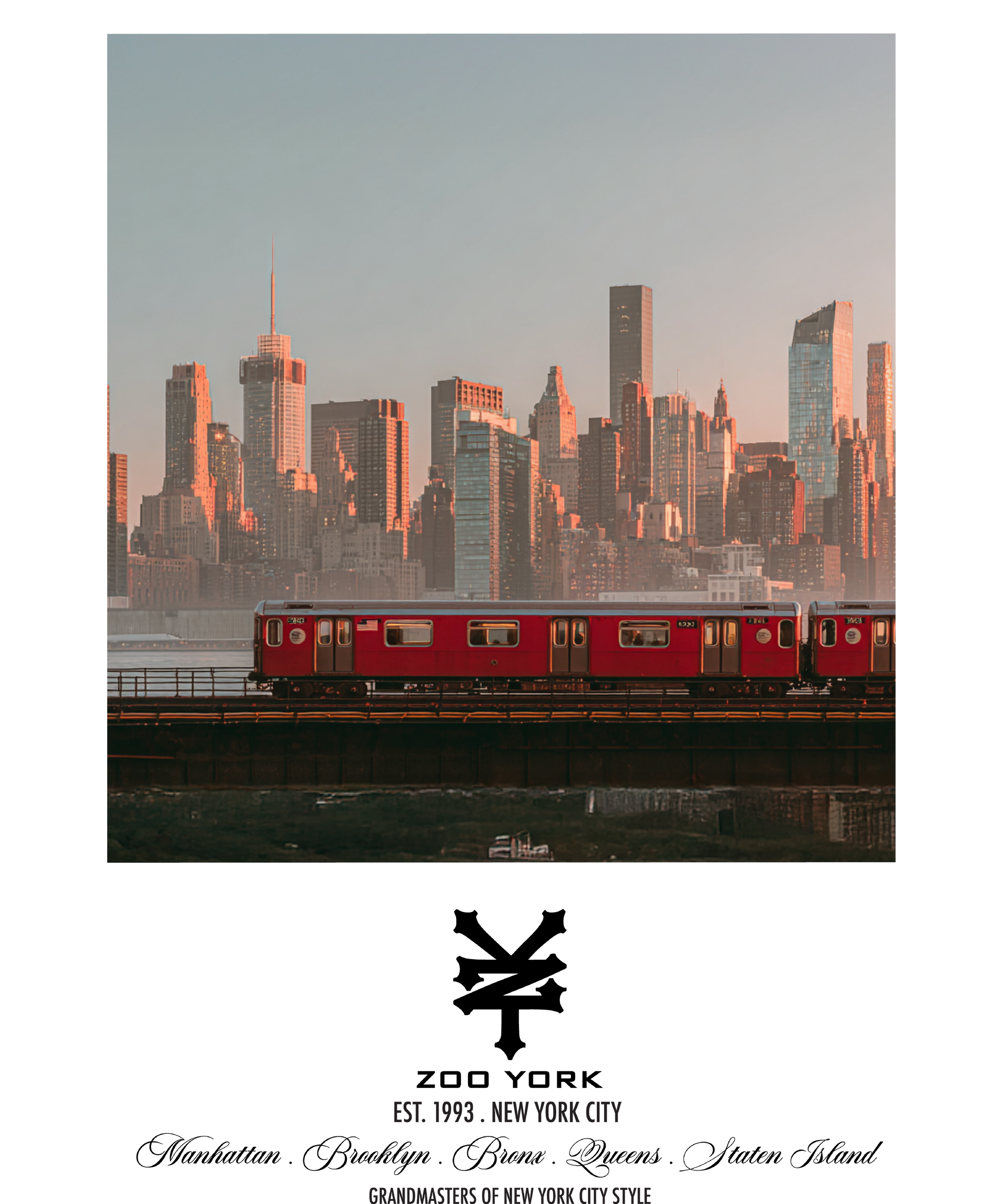 Zoo York Subway Skyline Nueva York Classic Panel Mens T Shirt Grey
