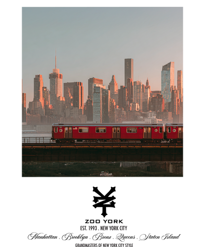 Zoo York Subway Skyline Nueva York Classic Panel Mens T Shirt Grey