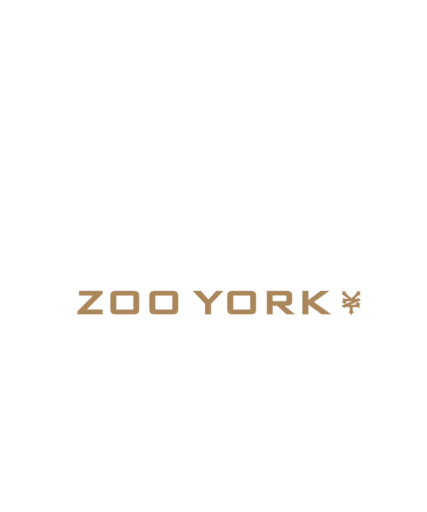 Zoo York 93 Athletic Style Nueva York Logo Mens T Shirt Black