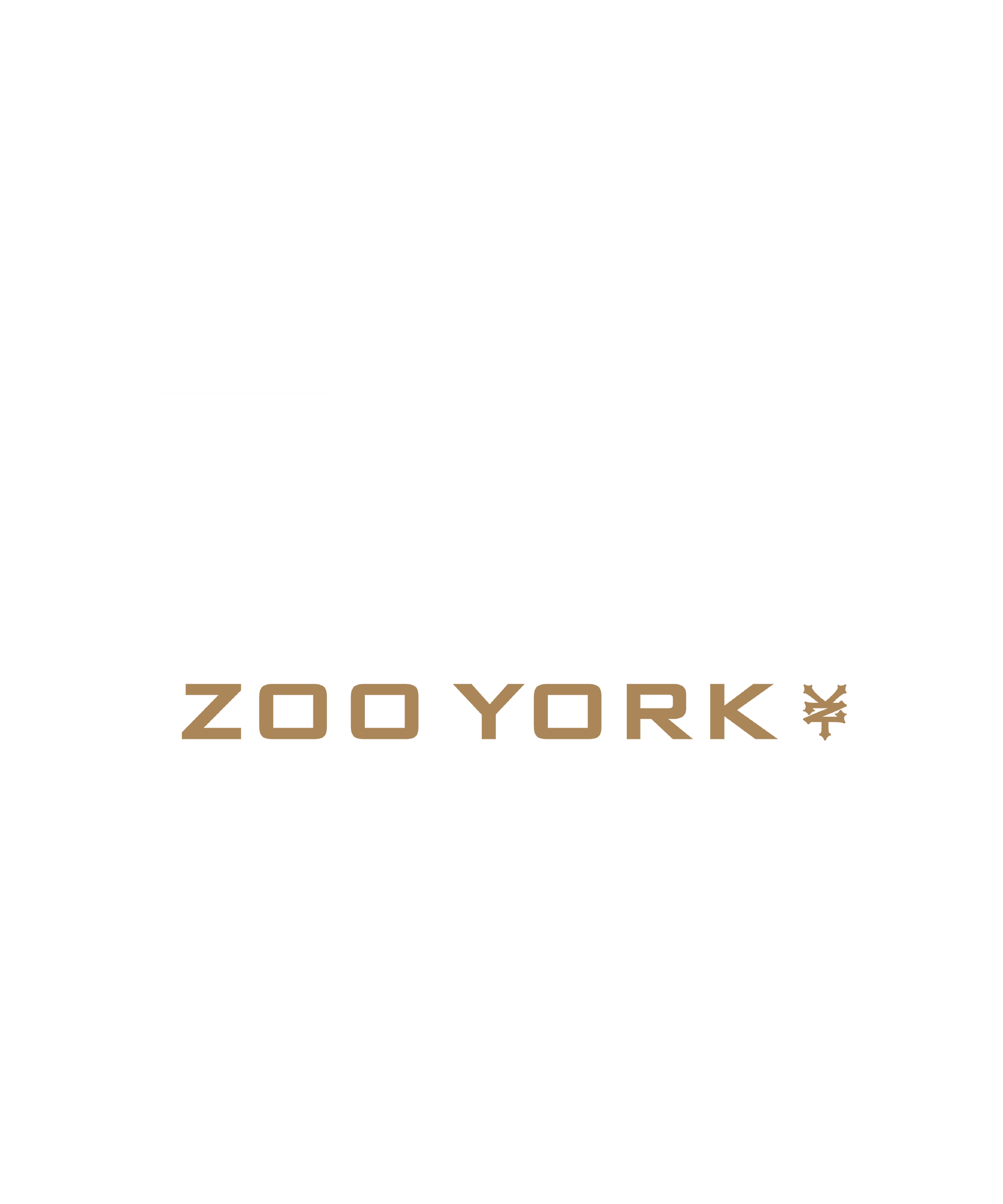 Zoo York 93 Athletic Style Nueva York Logo Mens T Shirt Black