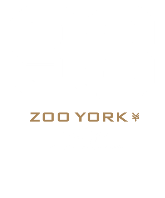 Zoo York 93 Athletic Style Nueva York Logo Mens T Shirt Black