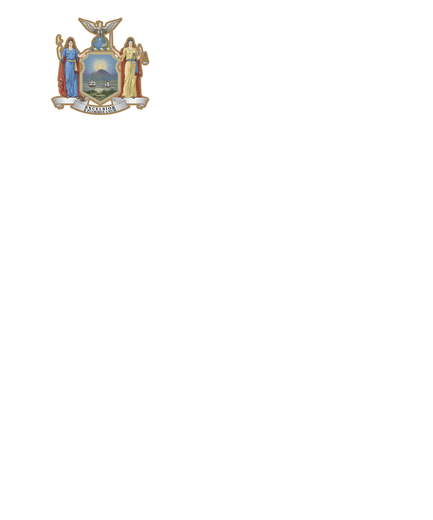 Zoo York Excelsior Classic Patch Logo Mens T Shirt Black