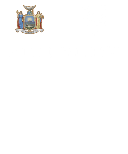 Zoo York Excelsior Classic Patch Logo Mens T Shirt Black