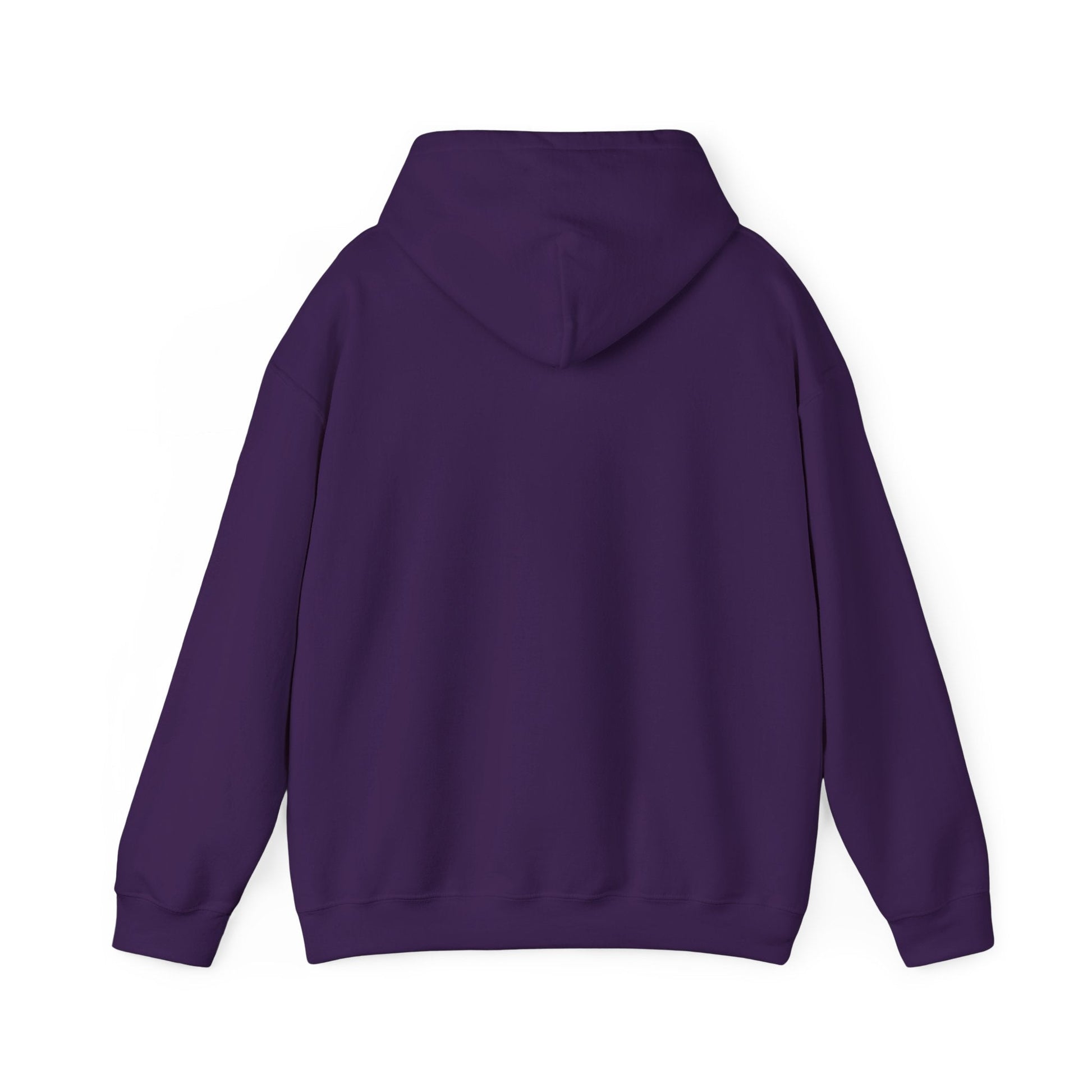 Play Neck Sweatshirt Hoodie