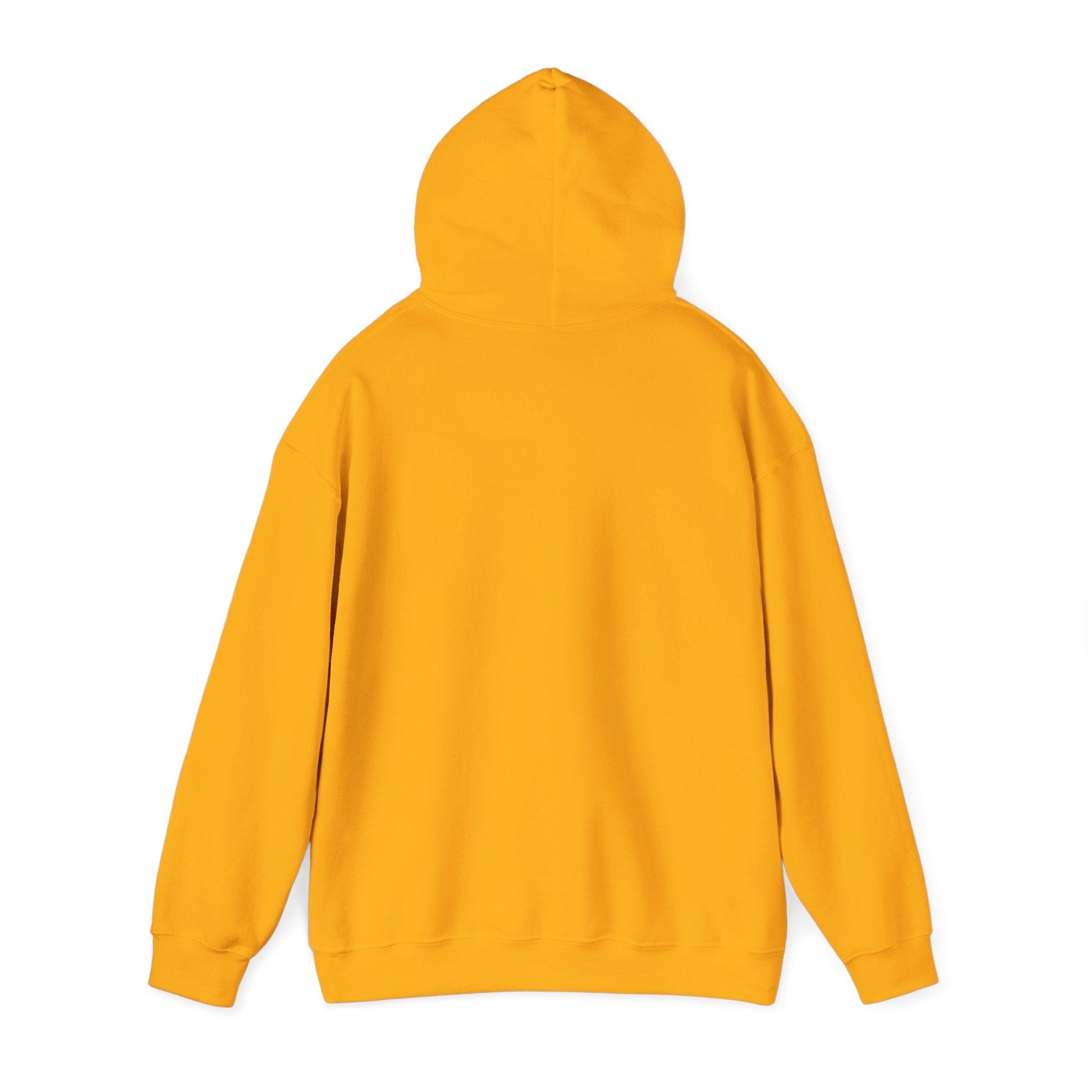 Play Neck Sweatshirt Hoodie