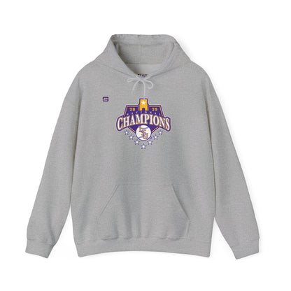 LSU Baseball National Champions Hoodie