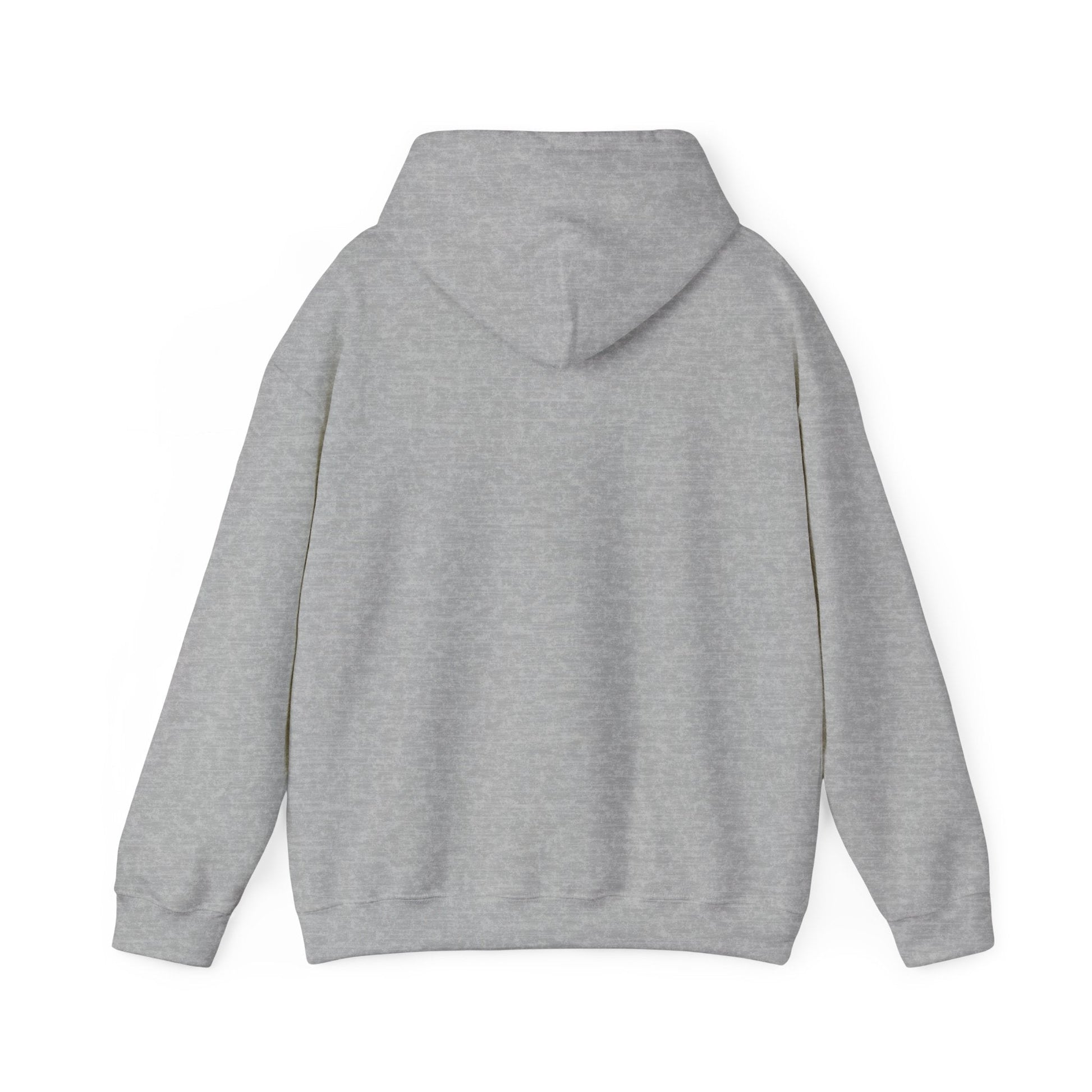 Play Neck Sweatshirt Hoodie