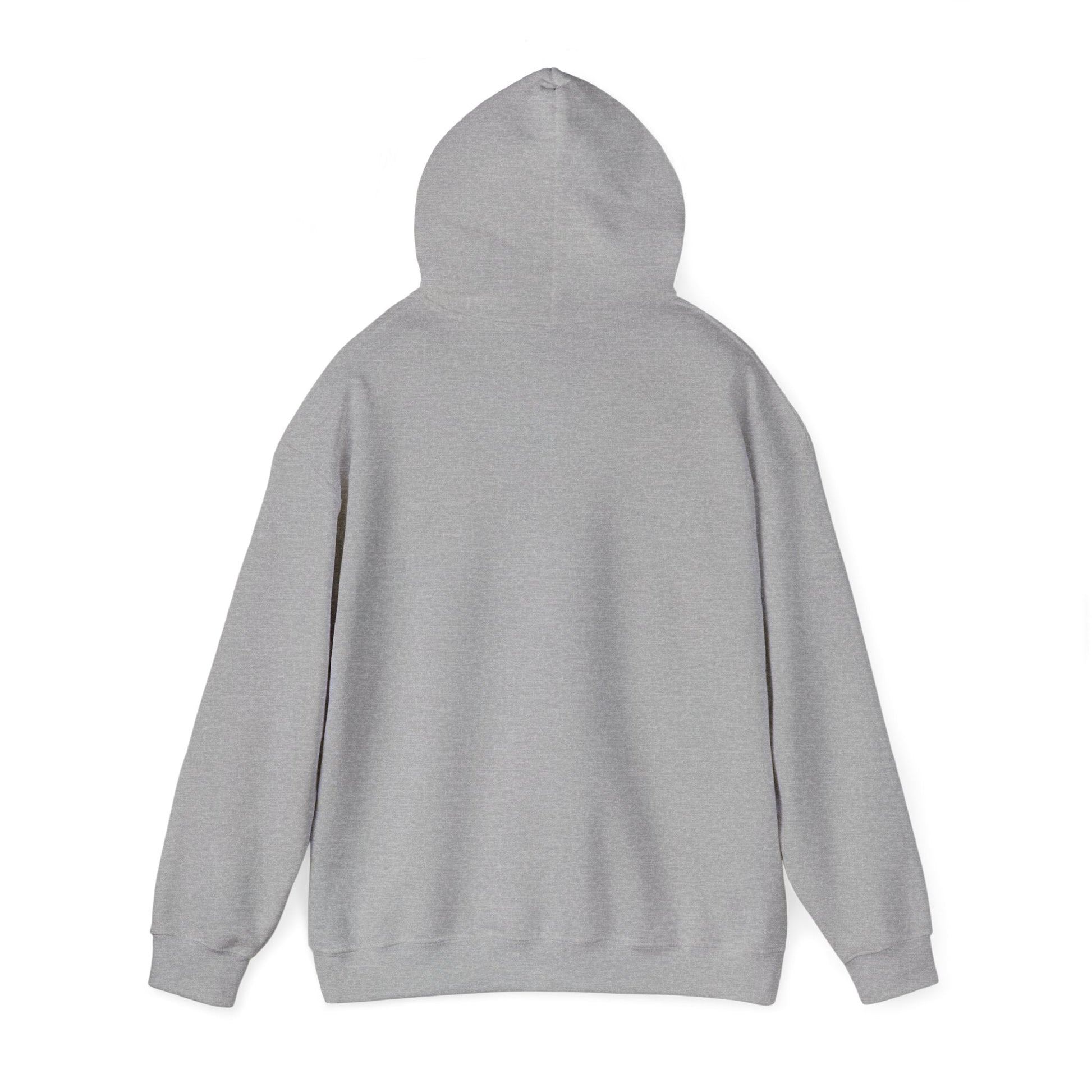 Play Neck Sweatshirt Hoodie