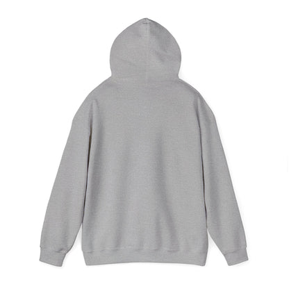 Play Neck Sweatshirt Hoodie