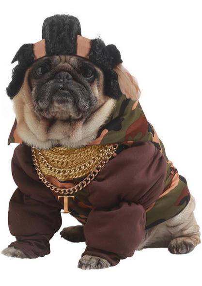 Pity the Fool Pet Costume Size XS