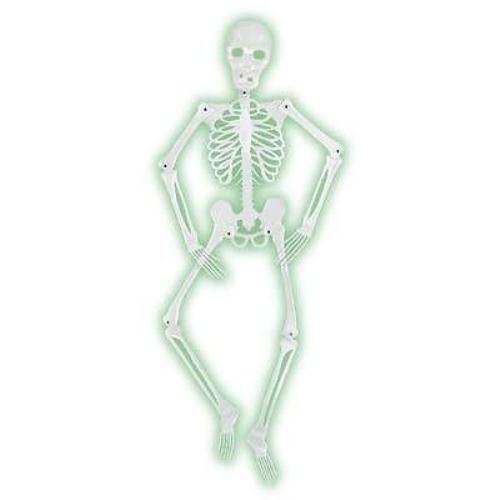 Mr Bones-A-Glo Skeleton Halloween Decor Prop Glow in the Dark Skeleton