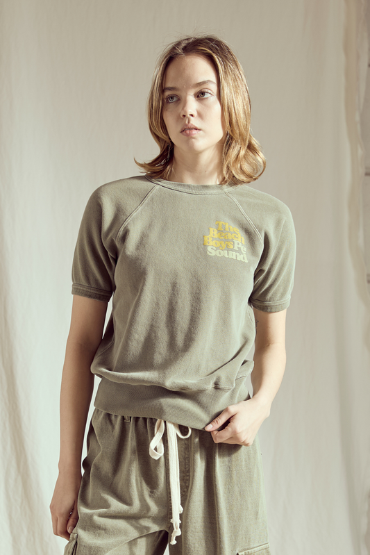 The Beach Boys Pet Sounds Raglan Womens T Shirt