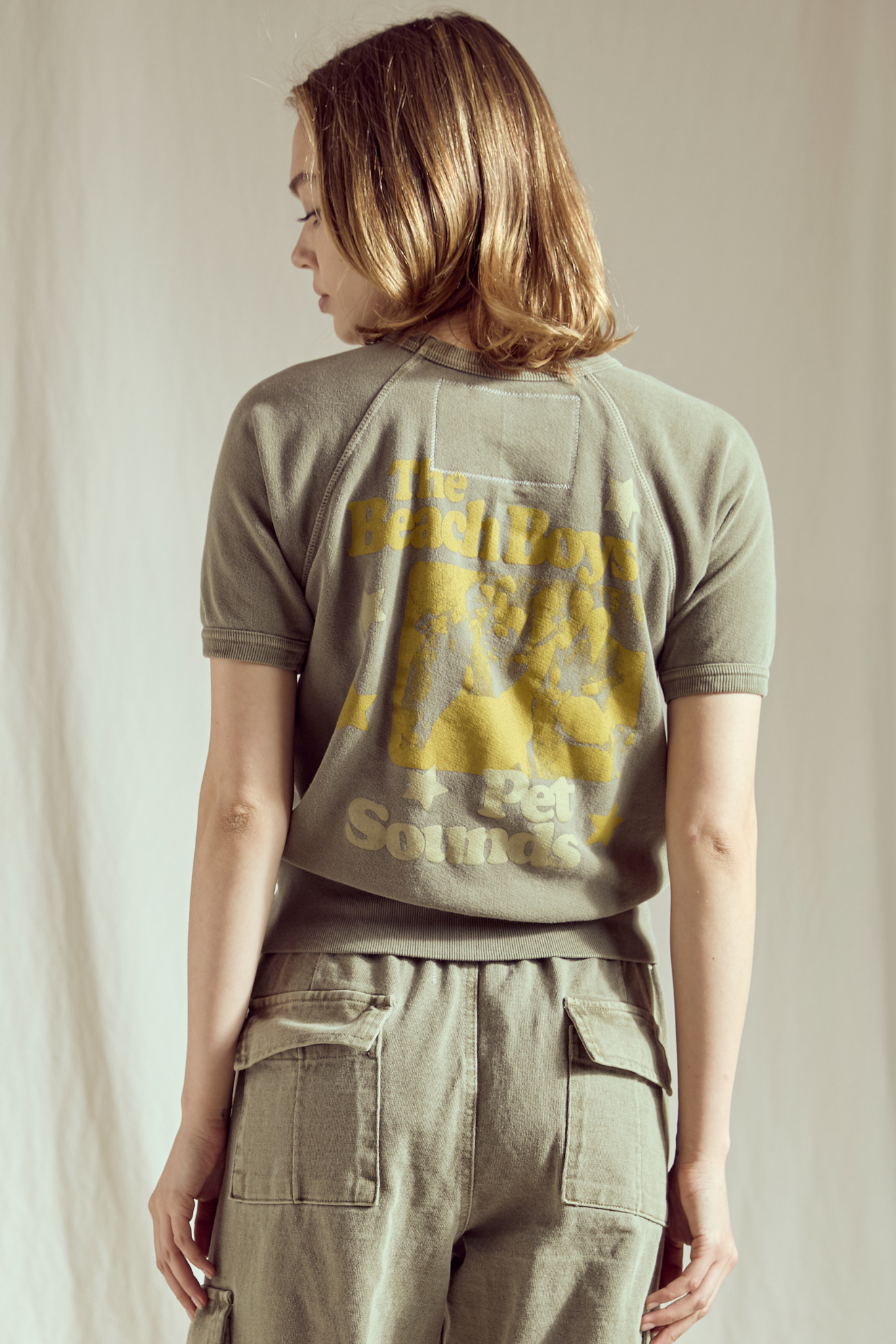 The Beach Boys Pet Sounds Raglan Womens T Shirt