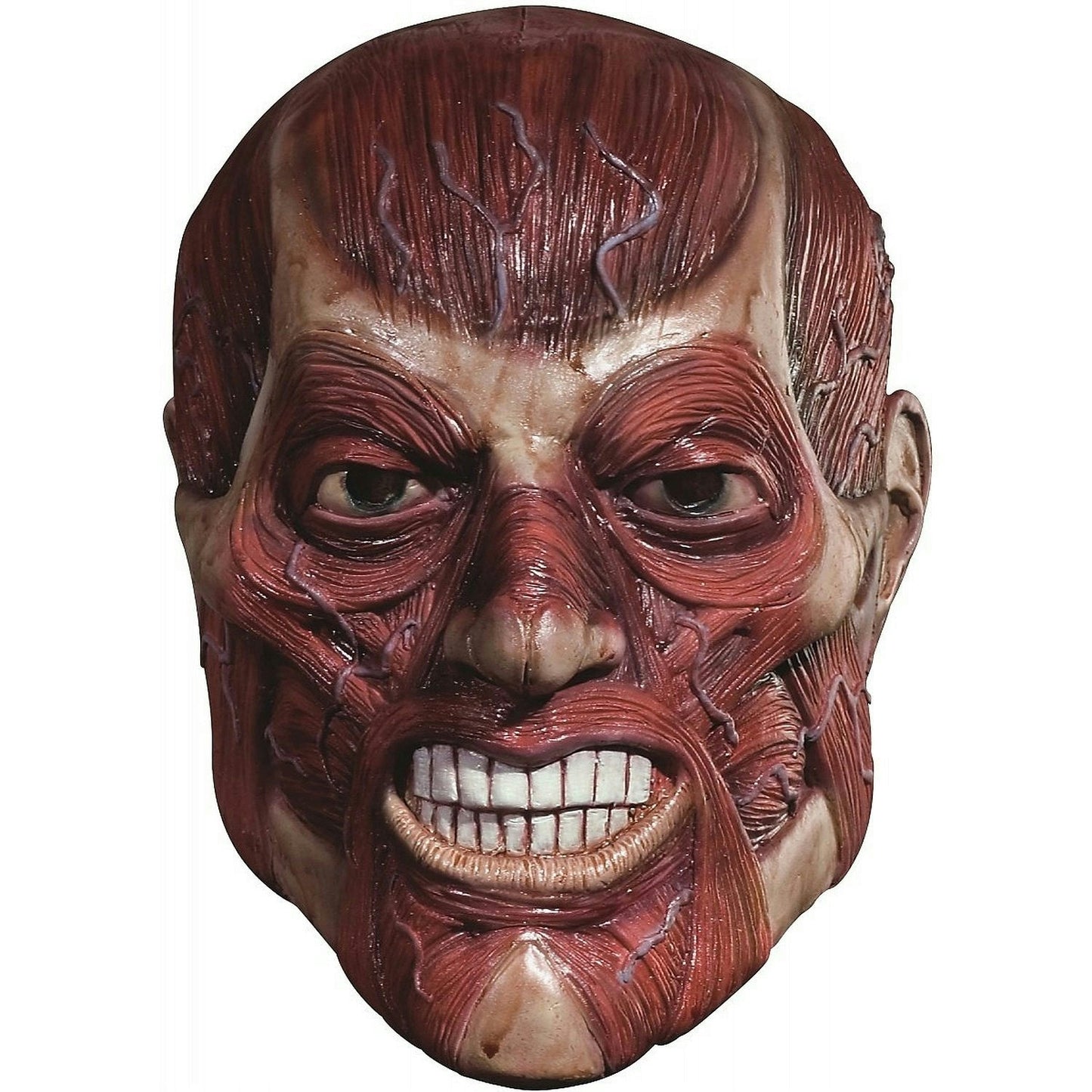 Skinner Adult Mask Exposed Muscle and Veins