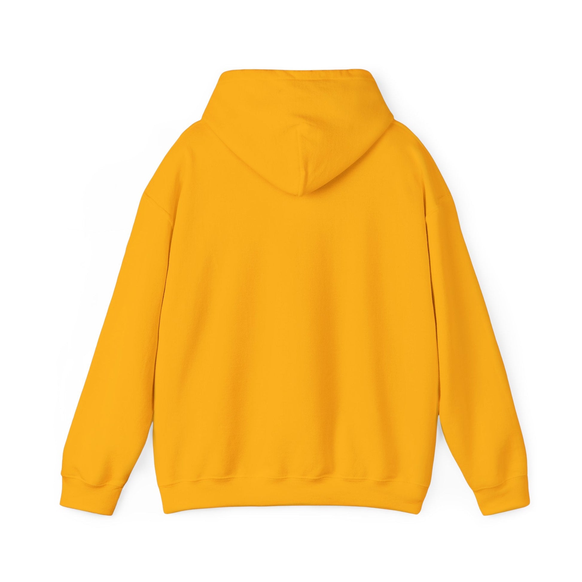 Play Neck Sweatshirt Hoodie