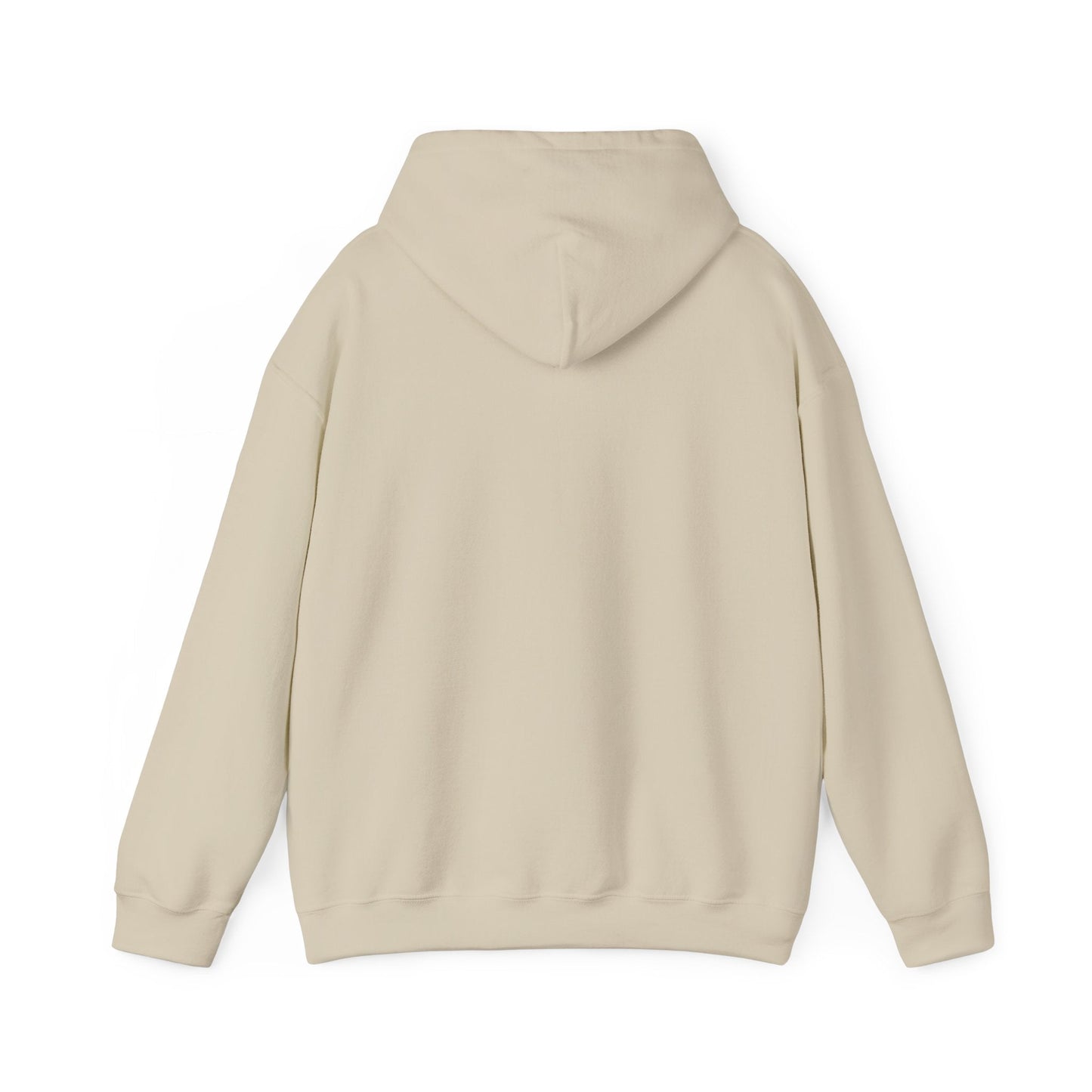 Play Neck Sweatshirt Hoodie