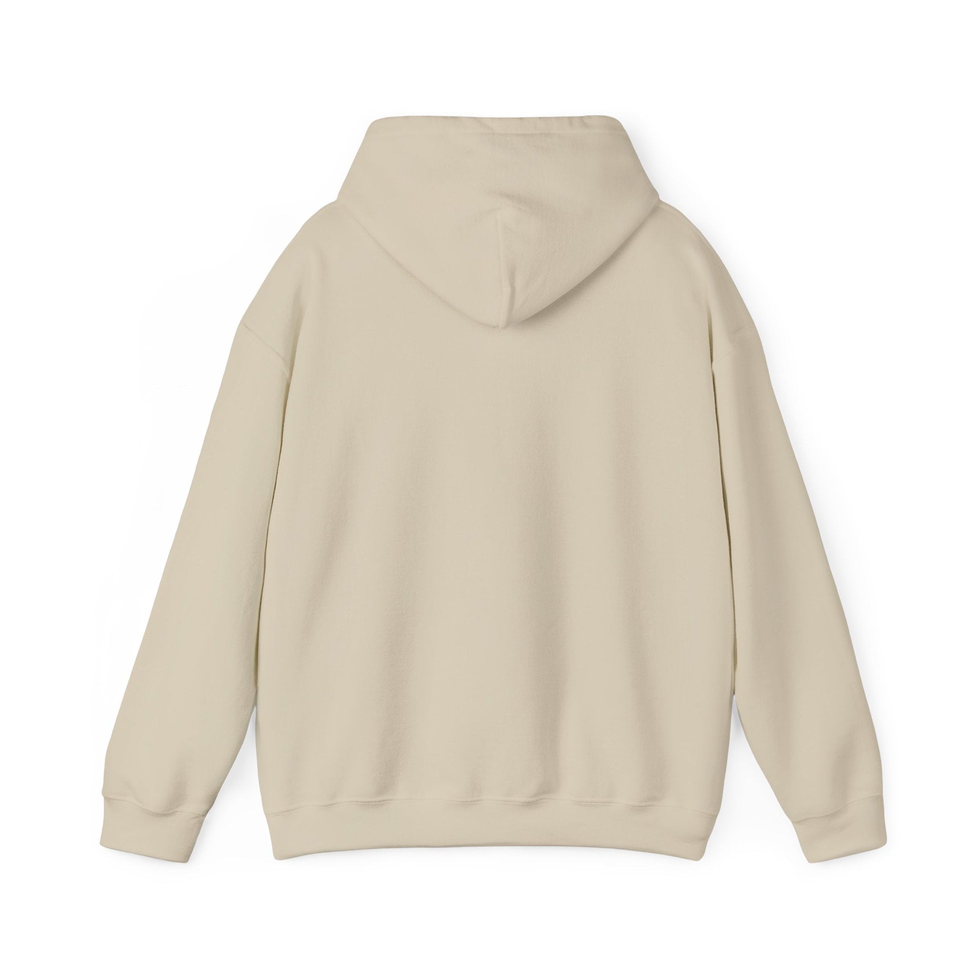 Play Neck Sweatshirt Hoodie