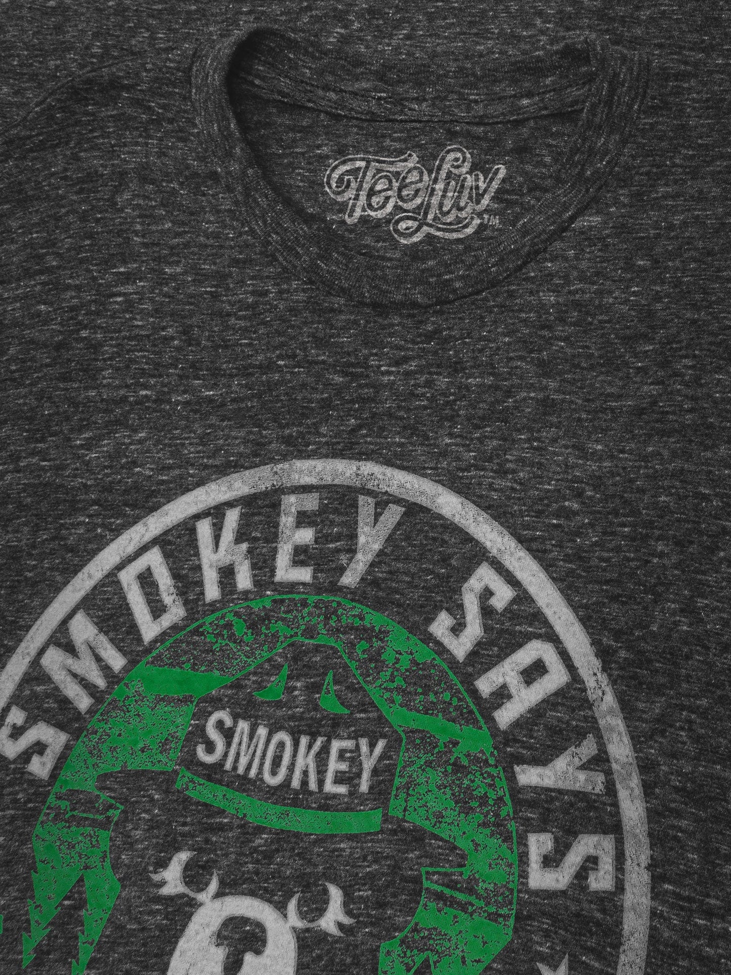 Smokey Says "Keep it Green, Prevent Wildfires" Mens T Shirt Gray