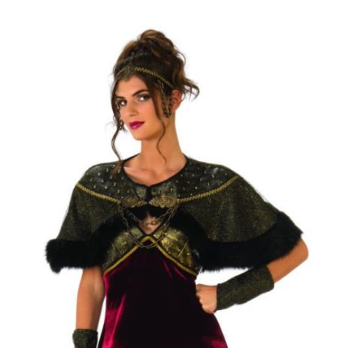 Adult Gothic Medieval Lady Costume Size Large 12-14